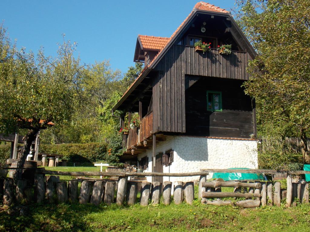 Apartmani Etno Kuca Pod Okicem ساموبور الغرفة الصورة